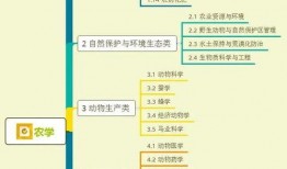 广东画室爆料视频大全集,揭秘艺术教育背后的故事