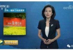 郑州万科城最新爆料,揭秘未来城市生活新标杆