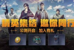 和平精英爆料动画视频,动画视频揭秘神秘内容