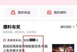 今日头条爆料怎么处理的