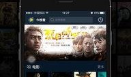 夜猫在线观看视频播放,揭秘深夜视频播放的秘密世界