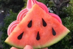 网红吃瓜头像搞笑版,瓜田笑果，欢乐无限