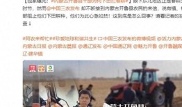 易经网友爆料新闻报道视频,新闻报道视频揭秘神秘事件