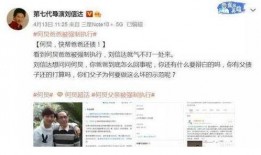 大政治大爆料视频全集,视频全集深度解析
