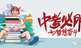 晓彤节目爆料最新消息今天,今日热点事件深度解析