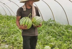 兰州吃瓜网站免费入口,免费入口带你畅游美食世界